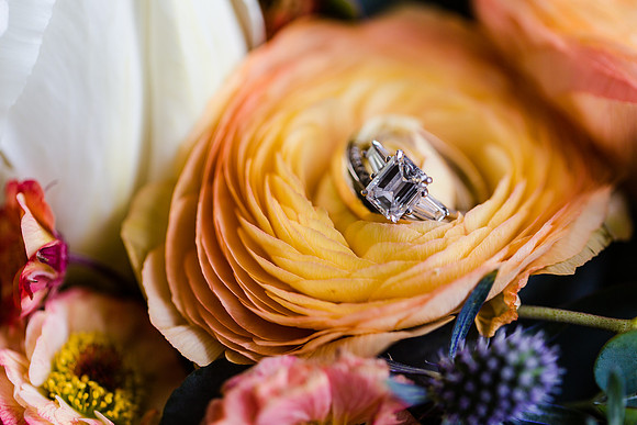 Cherry Island Wedding