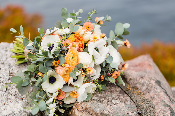Cherry Island Wedding