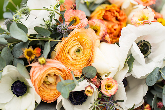 Cherry Island Wedding