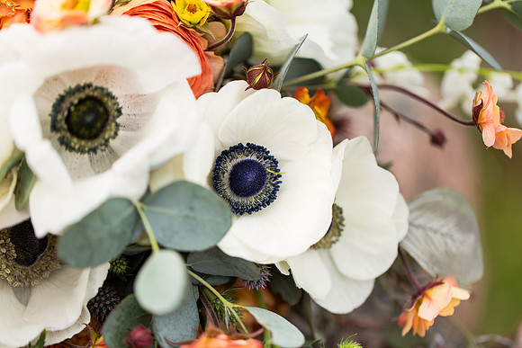 Cherry Island Wedding