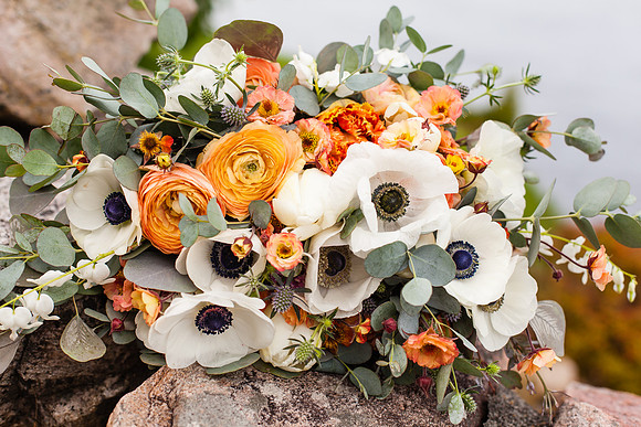 Cherry Island Wedding