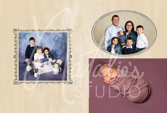 HH_5x7V_Folio_Cover_Bull