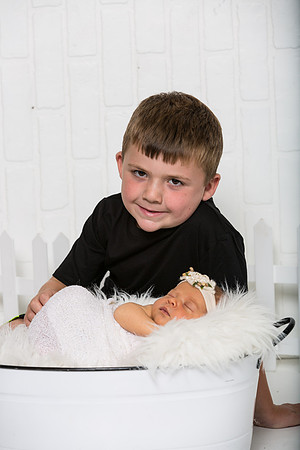 BULL_9252